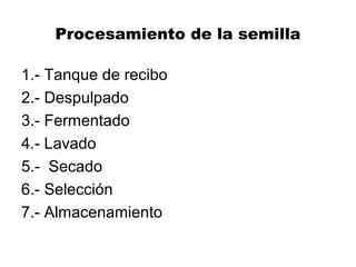 Procesamiento de la semilla
1.- Tanque de recibo
2.- Despulpado
3.- Fermentado
4.- Lavado
5.- Secado
6.- Selección
7.- Almacenamiento
 