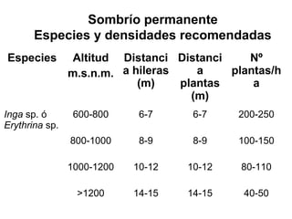 Sombrío permanente
Especies y densidades recomendadas
Especies Altitud
m.s.n.m.
Distanci
a hileras
(m)
Distanci
a
plantas
(m)
Nº
plantas/h
a
Inga sp. ó
Erythrina sp.
600-800 6-7 6-7 200-250
800-1000 8-9 8-9 100-150
1000-1200 10-12 10-12 80-110
>1200 14-15 14-15 40-50
 