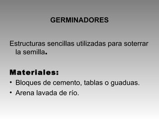 GERMINADORES
Estructuras sencillas utilizadas para soterrar
la semilla.
Materiales:
• Bloques de cemento, tablas o guaduas.
• Arena lavada de río.
 
