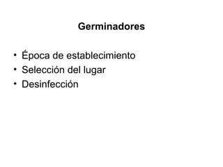 Germinadores
• Época de establecimiento
• Selección del lugar
• Desinfección
 