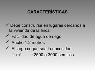 CARACTERÍSTICAS
 Debe construirse en lugares cercanos a
la vivienda de la finca
 Facilidad de agua de riego
 Ancho 1.2 metros
 El largo según sea la necesidad
1 m2
2500 a 3000 semillas
 