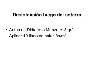 Desinfección luego del soterro
• Antracol, Dithane o Manzate: 3 gr/lt
Aplicar 10 litros de solución/m2
 