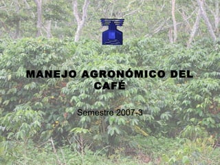 MANEJO AGRONÓMICO DEL
CAFÉ
Semestre 2007-3
 