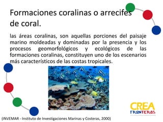 Las áreas coralinas, son aquellas porciones del paisaje marino
moldeadas y dominadas por los procesos geomorfológicos y
ecológicos de las formaciones coralinas, constituyen uno de
los escenarios más característicos de las costas tropicales.
Formaciones	
  coralinas	
  o	
  
arrecifes	
  de	
  coral
(INVEMAR	
  -­‐ Instituto	
  de	
  Investigaciones	
  Marinas	
  y	
  Costeras,	
  2000)
 