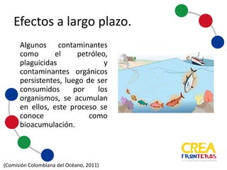Efectos	
  a	
  largo	
  plazo
Algunos contaminantes
como el petróleo,
plaguicidas y contaminantes
orgánicos persistentes,
luego de ser consumidos
por los organismos, se
acumulan en ellos, este
proceso se conoce como
bioacumulación.
(Comisión	
  Colombiana	
  del	
  Océano,	
  2011)
 
