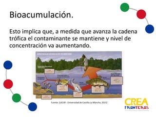 Bioacumulación
Esto implica, que a medida que avanza la cadena trófica, el
contaminante se mantiene y el nivel de concentración va
aumentando.
Fuente:	
  (UCLM	
  -­‐ Universidad	
  de	
  Castilla-­‐La	
  Mancha,	
  
2015)
 