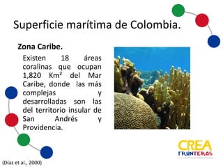 Existen 18 áreas coralinas
que ocupan 1.820 Km²
del Mar Caribe,
donde las más complejas
y desarrolladas son las del
territorio insular de San
Andrés y Providencia.
Zona	
  Caribe.	
  
(Díaz	
  et	
  al.,	
  2000)	
  
Superficie	
  marítima	
  de	
  Colombia
 