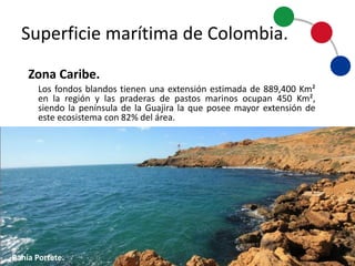 Superficie	
  marítima	
  de	
  Colombia
Los fondos blandos tienen una extensión estimada de 889.400 Km²
en la región y las praderas de pastos marinos ocupan 450 Km²,
siendo la península de la Guajira la que posee mayor extensión de
este ecosistema con 82% del área.
Zona	
  Caribe.	
  
Bahía	
  Portete.
 
