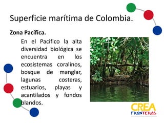 En el Pacifico la alta
diversidad biológica se
encuentra en los
ecosistemas coralinos,
bosque de manglar,
lagunas costeras, estuarios,
playas, acantilados y
fondos blandos.
Zona	
  Pacífica.	
  
Superficie	
  marítima	
  de	
  Colombia
 