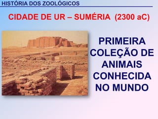 HISTÓRIA DOS ZOOLÓGICOS

 CIDADE DE UR – SUMÉRIA (2300 aC)


                           PRIMEIRA
                          COLEÇÃO DE
                            ANIMAIS
                          CONHECIDA
                           NO MUNDO
 