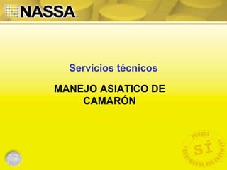 Servicios técnicos

MANEJO ASIATICO DE
    CAMARÓN
 