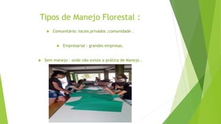Tipos de Manejo Florestal :
 Comunitário: locais privados ;comunidade .
 Empresarial : grandes empresas.
 Sem manejo : onde não existe a prática de Manejo .
 