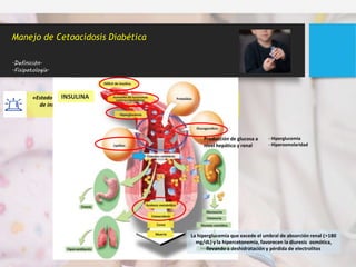 Manejo de Cetoacidosis Diabética
.Definición.
.Fisipatología.
«Estado de alteración metabólica que resulta de la deficiencia absoluta o relativa
de insulina circulante y los efectos combinados del incremento en niveles de
hormonas contrarreguladoras»
Factores de riesgo y desencadenantes:
 Infección. Gastroenteritis, vómito persistente
 Omisión de Insulina o dosis insuficiente.
 Pobre control metabólico.
 Episodios previos de CAD.
 Desórdenes psiquiátricos
INSULINA
Producción de glucosa a
nivel hepático y renal
- Hiperglucemia
- Hiperosmolaridad
La hiperglucemia que excede el umbral de absorción renal (>180
mg/dL) y la hipercetonemia, favorecen la diuresis osmótica,
llevando a deshidratación y pérdida de electrolitos
 