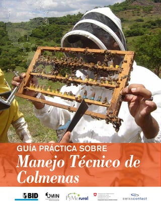 Velas de cera de abejas – Casa Santa Susana