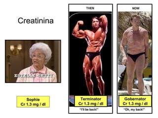 Creatinina




   Sophie         Terminator       Gobernator
Cr 1.3 mg / dl   Cr 1.3 mg / dl   Cr 1.3 mg / dl
 