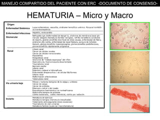 MANEJO COMPARTIDO DEL PACIENTE CON ERC -DOCUMENTO DE CONSENSO-


                     HEMATURIA – Micro y Macro
  Origen
 Enfermedad Sistémica

 Enfermedad Infecciosa
 Glomerular




  Renal




 Vía urinaria baja




 Incierto
 