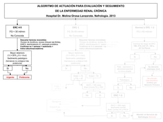 ALGORITMO DE ACTUACIÓN PARA EVALUACIÓN Y SEGUIMIENTO
                                                          DE LA ENFERMEDAD RENAL CRÓNICA
                                               Hospital Dr. Molina Orosa Lanzarote. Nefrología. 2013



         ERC 4-5                                                               ERC 3                                                                           Normal o ERC 1-2
      FG < 30 ml/min                                                       FG 30-59 ml/min                                                                        FG ≥ 60 ml/min
       No Conocida                                                          No Conocida
                Descartar factores reversibles:                                        Descartar factores reversibles:
                •Exceso de diuréticos, exceso bloqueo eje,Multaq,                      •Exceso de diuréticos, éxceso bloqueo eje,Multaq,
                AINES, deshidratación,IC, patología prostática.                        AINES, deshidratación,IC, patología prostática.                       Factores de riesgo de ERC:
                Confirmar en 1 semana + sedimento +                                    Confirmar en 2-3 semanas + sedimento +                                 DM, HTA, Enf CV, >60 a,
                Indice albumina/creatinina                                             Indice albumina/creatinina                                                  AF Enf Renal

    Mayor deterioro                                                      Mayor deterioro
 (↑Cr>30%,↓FG>10ml)                                                   (↑Cr>30%,↓FG>10ml)
                                                                                                                                                             Si                     No
 Sedimento patológico                                                 Sedimento patológico
(hematuria no urológica más                                          (hematuria no urológica más
       proteinuria)                                                         proteinuria)

                                                                                                                                    Pedir.: sedimento y                       Se descarta
 Si                    No                                             Si                    No                                      albúmina/creatinina                      patología renal
                                                                                                                                      en orina aislada

                                                                                Edad < 70          Edad > 70
Urgente        Preferente
                                                                                y FG > 45                                                                                    No precisa
                                                                                                                                           Patológico                       más estudios.
                                                                                                                                                                             Control por
                                                                                              Alb/Cr < 500 mg/g                                                           Atención Primaria
                                                         Edad < 70                          Buen Control PA y FRC
                                                         y FG <45                                                                   Si                  No


                                                                                              No               Si                ERC 1-2

                                                     No derivar al Servicio de
                                                            Nefrología
                                                                                                                            Alb/Cr < 500 mg/g
                                                   Control por Atención Primaria                                            Sedimento normal
                                                         Cada 4-6 meses.                                                 Buen Control PA y FRCV

                                                                                                                                                                  Remitir al Servicio de
                                                                                                                            Si                No                   Nefrología Normal
 