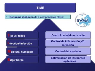 TIME
• Esquema dinámico de 4 componentes clave:
Control de tejido no viableTissue/ tejido
Control de inflamación y/ó
infección
Infection/ infección
Control del exudadoMoisture/ humedad
Estimulación de los bordes
epitelialesEdge/ borde
 