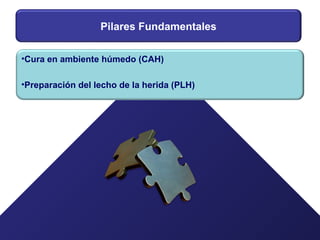 Pilares Fundamentales
•Cura en ambiente húmedo (CAH)
•Preparación del lecho de la herida (PLH)
 