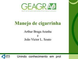 Unindo conhecimento em prol
Manejo de cigarrinha
Arthur Braga Aranha
e
João Victor L. Souto
 