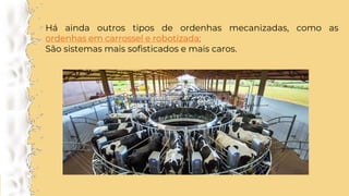 Há ainda outros tipos de ordenhas mecanizadas, como as
ordenhas em carrossel e robotizada;
São sistemas mais sofisticados e mais caros.
 