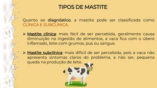 TIPOS DE MASTITE
Quanto ao diagnóstico, a mastite pode ser classificada como
CLÍNICA E SUBCLÍNICA.
➢ Mastite clínica: mais fácil de ser percebida, geralmente causa
diminuição na ingestão de alimentos, a vaca fica com o úbere
inflamado, leite com grumos, pus ou sangue.
➢ Mastite subclínica: mais difícil de ser percebida, pois a vaca não
apresenta sintomas claros do problema, a não ser, pequena
queda na produção de leite.
 