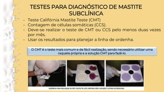 TESTES PARA DIAGNÓSTICO DE MASTITE
SUBCLÍNICA
- Teste Califórnia Mastite Teste (CMT)
- Contagem de células somáticas (CCS).
- Deve-se realizar o teste de CMT ou CCS pelo menos duas vezes
por mês.
- Usar os resultados para planejar a linha de ordenha.
O CMT é o teste mais comum e de fácil realização, sendo necessário utilizar uma
raquete própria e a solução CMT para fazê-lo.
 