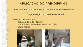 APLICAÇÃO DO PRÉ-DIPPING
- Procedimento de desinfecção dos tetos antes da ordenha
prevenção da mastite ambiental.
- Solução desinfetante:
solução de iodo (0,25%),
solução de clorexidine (de 0,25 a 0,5%)
cloro (0,2%).
 