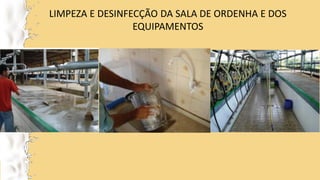 LIMPEZA E DESINFECÇÃO DA SALA DE ORDENHA E DOS
EQUIPAMENTOS
 