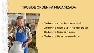 TIPOS DE ORDENHA MECANIZADA
TIPOS DE ORDENHA MECANIZADA
- Ordenha com balde-ao-pé
- Ordenha tipo espinha-de-peixe
- Ordenha tipo tandem
- Ordenha tipo lado-a-lado
 
