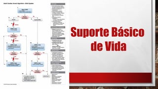 Suporte Básico
de Vida
 