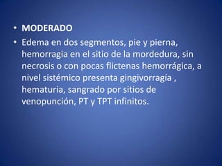 • MODERADO
• Edema en dos segmentos, pie y pierna,
  hemorragia en el sitio de la mordedura, sin
  necrosis o con pocas flictenas hemorrágica, a
  nivel sistémico presenta gingivorragía ,
  hematuria, sangrado por sitios de
  venopunción, PT y TPT infinitos.
 