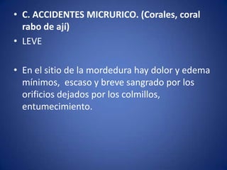 • C. ACCIDENTES MICRURICO. (Corales, coral
  rabo de ají)
• LEVE

• En el sitio de la mordedura hay dolor y edema
  mínimos, escaso y breve sangrado por los
  orificios dejados por los colmillos,
  entumecimiento.
 