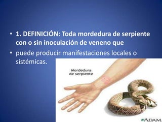 • 1. DEFINICIÓN: Toda mordedura de serpiente
  con o sin inoculación de veneno que
• puede producir manifestaciones locales o
  sistémicas.
 