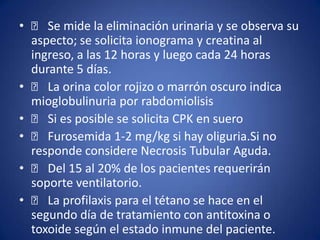 •     􀂙 Se mide la eliminación urinaria y se observa su
    aspecto; se solicita ionograma y creatina al
    ingreso, a las 12 horas y luego cada 24 horas
    durante 5 días.
•     􀂙 La orina color rojizo o marrón oscuro indica
    mioglobulinuria por rabdomiolisis
•     􀂙 Si es posible se solicita CPK en suero
•     􀂙 Furosemida 1-2 mg/kg si hay oliguria.Si no
    responde considere Necrosis Tubular Aguda.
•     􀂙 Del 15 al 20% de los pacientes requerirán
    soporte ventilatorio.
•     􀂙 La profilaxis para el tétano se hace en el
    segundo día de tratamiento con antitoxina o
    toxoide según el estado inmune del paciente.
 