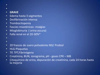•
•
•   GRAVE
•   Edema hasta 3 segmentos
•   Desfibrinación intensa
•   Trombocitopenia
•   Fascies miasténicas- mialgias
•   Mioglobinuria ( orina oscura)
•   Falla renal en el 20-30%*
•
•
•   20 frascos de suero polivalente INS/ Probiol
•   HLG-Plaquetas
•   TP, TPT,Fibrinógeno
•   Creatinina, BUN, ionograma, pH - gases CPK – MB
•   Citoquímico de orina, depuración de creatinina, cada 24 horas hasta
    la mejoría
 