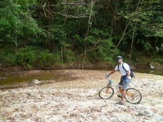 Manejo de accidente ofidico