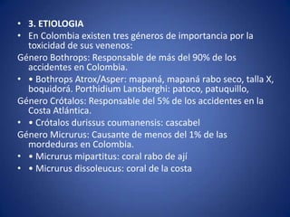 • 3. ETIOLOGIA
• En Colombia existen tres géneros de importancia por la
  toxicidad de sus venenos:
Género Bothrops: Responsable de más del 90% de los
  accidentes en Colombia.
• • Bothrops Atrox/Asper: mapaná, mapaná rabo seco, talla X,
  boquidorá. Porthidium Lansberghi: patoco, patuquillo,
Género Crótalos: Responsable del 5% de los accidentes en la
  Costa Atlántica.
• • Crótalos durissus coumanensis: cascabel
Género Micrurus: Causante de menos del 1% de las
  mordeduras en Colombia.
• • Micrurus mipartitus: coral rabo de ají
• • Micrurus dissoleucus: coral de la costa
 