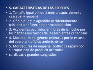 • 5. CARACTERISTICAS DE LAS ESPECIES
• 1. Tamaño igual o > de 1 metro especialmente
  cascabel y mapaná
• 2. Ofidio que fue agredido accidentalmente
  (pisado) o enfurecido por manipulación
• 3. Accidentes ocurridos en horas de la noche por
  los hábitos nocturnos de las serpientes venenosas
• 4. Mordedura del género micrurus por lo escaso
  del suero antiofídico antimicrúrico
• 5. Mordeduras de mapana (bothrops asper) por
  su capacidad de producir arritmias
• cardiacas y grandes sangrados.
 