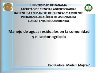 Manejo de aguas residuales en la comunidad
y el sector agrícola
UNIVERSIDAD DE PANAMÁ
FACULTAD DE CIENCIAS AGROPECUARIAS
INGIENERIA EN MANEJO DE CUENCAS Y AMBIENTE
PROGRAMA ANALÍTICO DE ASIGNATURA
CURSO: ENTORNO AMBIENTAL
Facilitadora: Marleni Mojica C.
 