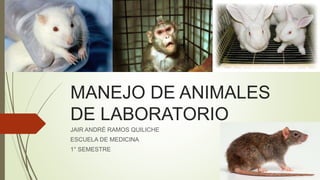 MANEJO DE ANIMALES
DE LABORATORIO
JAIR ANDRÉ RAMOS QUILICHE
ESCUELA DE MEDICINA
1° SEMESTRE
 