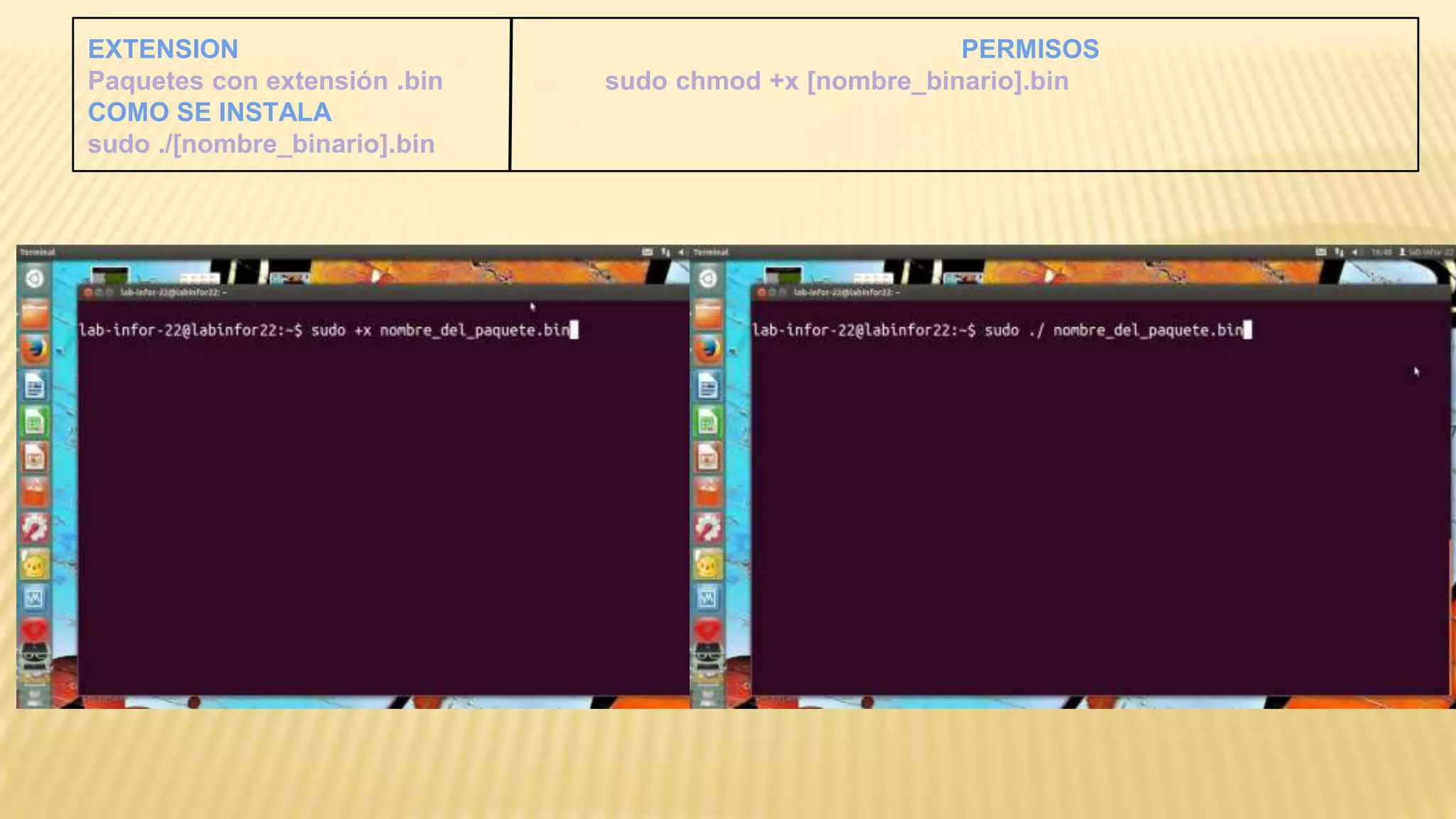 EXTENSION
Paquetes con extensión .bin
COMO SE INSTALA
sudo ./[nombre_binario].bin

PERMISOS
sudo chmod +x [nombre_binario].bin

 