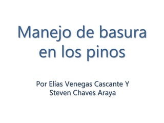 Manejo de basura
  en los pinos
  Por Elías Venegas Cascante Y
      Steven Chaves Araya
 