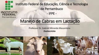 Manejo de Cabras em Lactação
Professor Dr. Gabriel Miranda Macambira
Zootecnista
Instituto Federal de Educação, Ciência e Tecnologia
de Pernambuco
- IFPE -
 