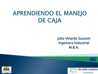 Julia Velarde Sussoni
 Ingeniera Industrial
        M.B.A.
 