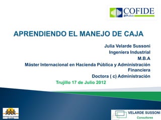 Julia Velarde Sussoni
                                      Ingeniera Industrial
                                                    M.B.A
Máster Internacional en Hacienda Pública y Administración
                                                Financiera
                              Doctora ( c) Administración
 