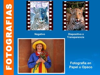 FOTOGRAFIAS Negativo Diapositiva o Transparencia  Fotografia en Papel u Opaco 
