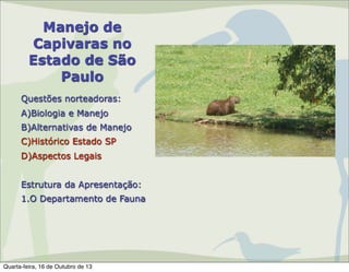Manejo de
Capivaras no
Estado de São
Paulo
Questões norteadoras:
A)Biologia e Manejo
B)Alternativas de Manejo
C)Histórico Estado SP
D)Aspectos Legais
Estrutura da Apresentação:
1.O Departamento de Fauna

Quarta-feira, 16 de Outubro de 13

 