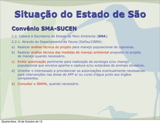 Situação do Estado de São
Convênio SMA-SUCEN
2.2. Caberá à Secretaria de Estado de Meio Ambiente (SMA):
2.2.1. Através do Departamento de Fauna (DeFau/CBRN):
a) Realizar análise técnica do projeto para manejo populacional de capivaras.
b) Realizar análise técnica das medidas de manejo ambiental proposta no projeto
de manejo quando necessário.
c) Emitir autorização pertinente para realização de sorologia e/ou manejo
populacional que envolva apanha e captura e/ou eutanásia de animais silvestres.
d) Orientar o interessado a providenciar as autorizações eventualmente necessárias
para intervenções nas áreas de APP e/ ou curso d’água junto aos órgãos
competentes.
e) Consultar o IBAMA, quando necessário.

Quarta-feira, 16 de Outubro de 13

 