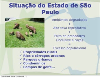 Situação do Estado de São
Paulo







Ambientes degradados
+
Alta taxa reprodutiva
+
Falta de predadores
(inclusive a caça)
=
Excesso populacional
Propriedades rurais
Rios e córregos urbanos
Parques urbanos
Condomínios
Campos de golfe...

Quarta-feira, 16 de Outubro de 13

 
